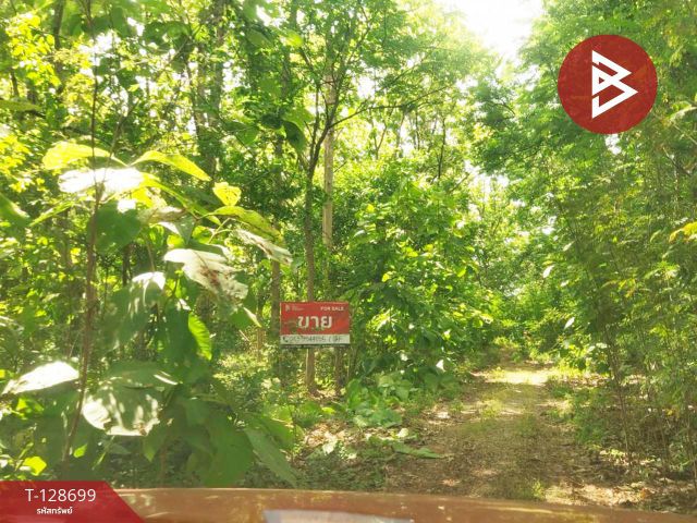 ขายที่ดิน พร้อมต้นสัก เนื้อที่ 200 ตารางวา อ.ตาคลี นครสวรรค์