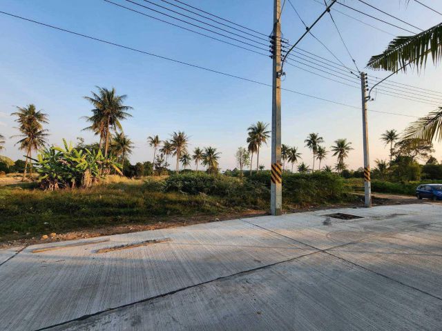 L1201 ขายที่ดินใกล้ท่าเรือแหลมฉบัง 15 ไร่ หน้ากว้าง 246 เมตร ศรีราชา ชลบุรี