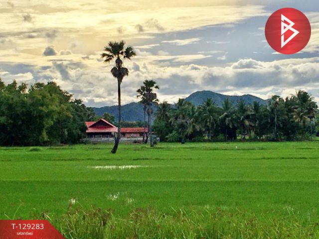 ขายที่ดิน เนื้อที่ 1 ไร่ 1 งาน 3 ตร.วา บ้านลาด เพชรบุรี