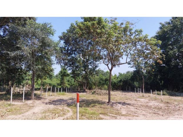 ขายที่ดินเชียงใหม่ แบ่งขายถูกมาก!