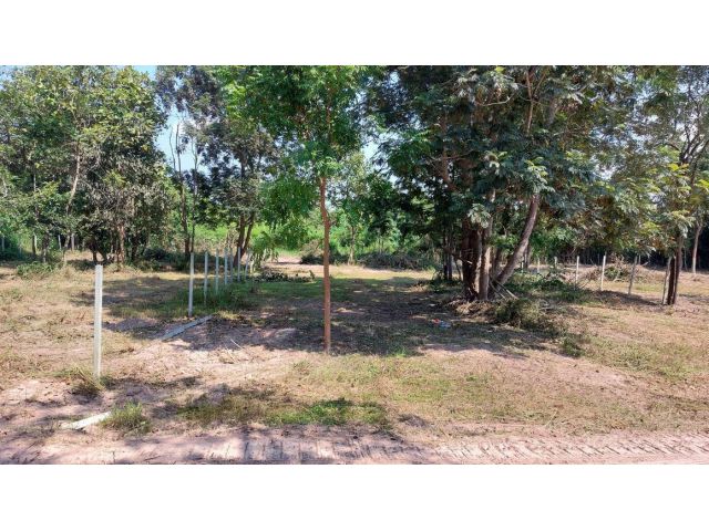 ขายที่ดินเชียงใหม่ แบ่งขายถูกมาก!