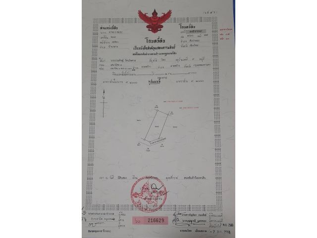 ขายที่ดินเชียงใหม่ แบ่งขายถูกมาก!