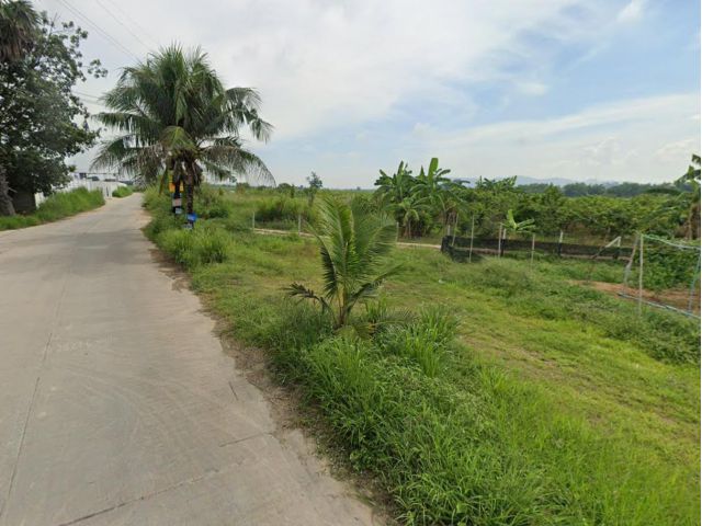 ขายที่ดิน 4 ไร่ ต.หนองไผ่แก้ว อ.บ้านบึง ชลบุรี