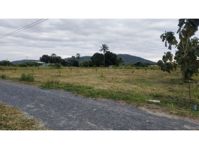 ขายที่ดิน 2 ไร่ ภูเขาล้อมรอบ ต.หนองประดู่ อ.เลาขวัญ จ.กาญจนบุรี