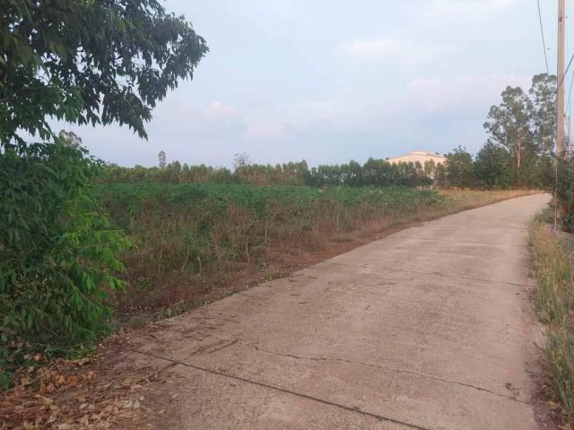 L1208 ขายที่ดิน 11 ไร่ ศรีมหาโพธิ ปราจีนบุรี