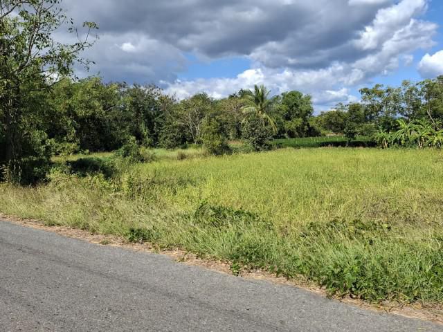 ที่ดิน  สวย กำลังดี  โฉนด เดินทางสะดวก