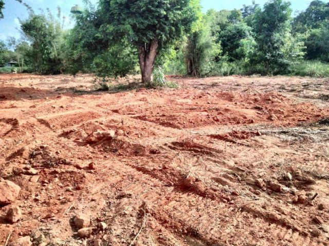 L1212 ขายที่ดินใกล้เขตอุตสาหกรรมสุรนารี 182 ตรว เมืองนครราชสีมา