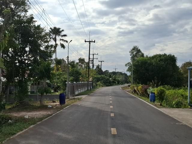 ขายที่สวนผลไม้  พร้อม บ้าน   ห้องพัก  ติดถนนลาดยาง  ราคาถูก