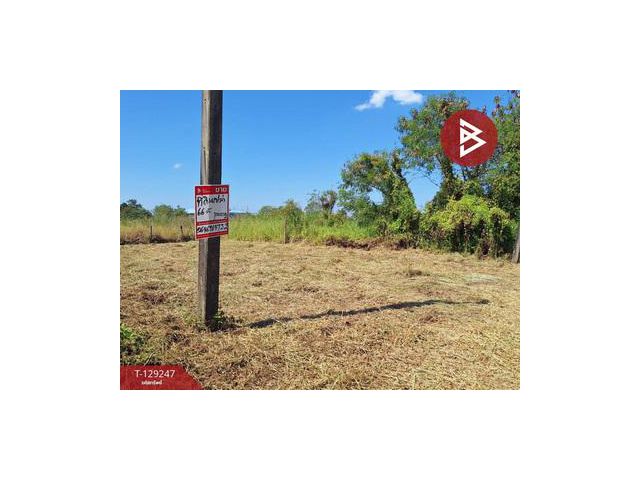 ขายที่ดิน เนื้อที่ 66 ตร.วา ธัญบุรี ปทุมธานี