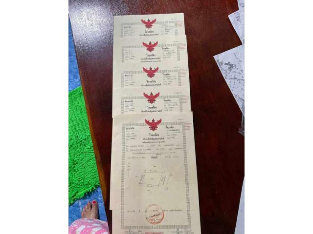 L82 ขายที่ดินเปล่า พร้อมสร้างบ้าน 100 ตรว. 5 แปลง ห้วยใหญ่ พัทยา เหมาะแก่การสร้างบ้านพลูวิลล่า