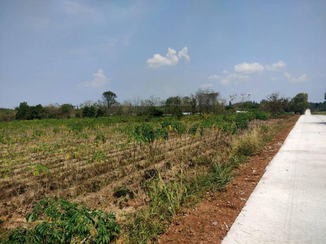 L1215 ขายที่ดินสวยทำเลดี 20 ไร่ สวนผึ้ง ราชบุรี