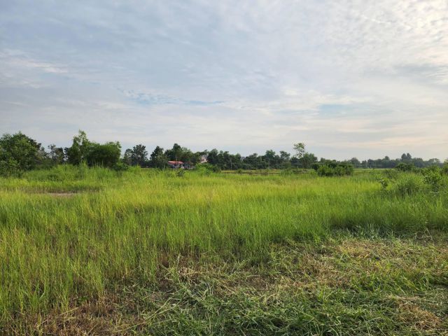 L1217 ขายที่ดินติดถนน.3079  2 ไร่ ศรีมหาโพธิ ปราจีนบุรี