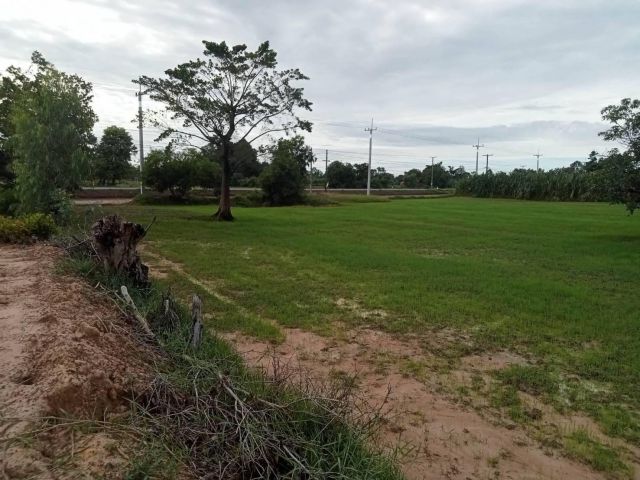 L1219 ขายที่ดินติดถนน.220 1 ไร่ ขุขันธ์ ศรีสะเกษ