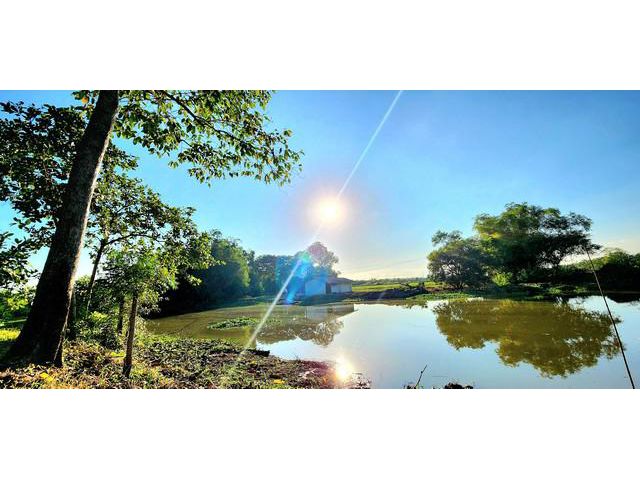 ขายที่ดินติดน้ำติดคลอง องครักษ์ คลอง 15 นครนายก