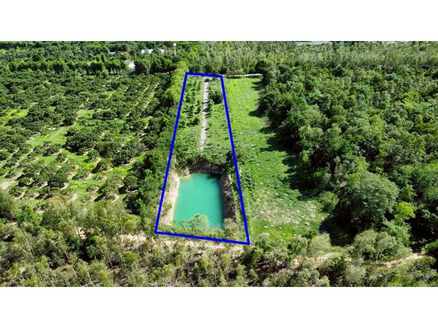 ขายที่ดิน 4-1-40ไร่ 2.49ล. สวนมะม่วง สระน้ำ อ.ดอยหล่อ เชียงใหม่