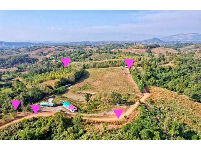 ขายที่ดินลานกางเต้นท์บนเนิน มีห้องพัก6ห้อง ขายขาดทุน โฉนด 18-2-96ไร่   อ.หล่มเก่า จ.เพชรบูรณ์