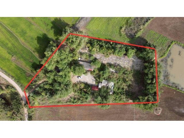 ขายที่ดิน 3 ไร่ | ถมสูงติดถนนคอนกรีต ไฟฟ้า-ประปาพร้อม  ต.กองทูล อ.หนองไผ่ จ.เพชรบูรณ์ 8แสน9 เท่านั้น