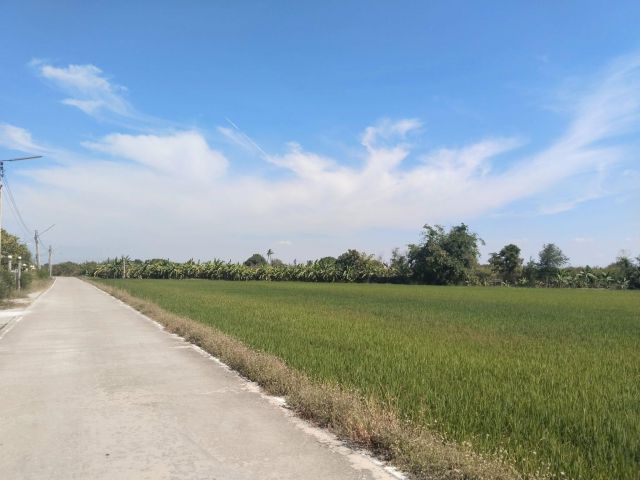 ขายที่ดินท่าไข่ แปดริ้ว 4 ไร่ ซอยวัดนิโคธาราม ใกล้สถานีรถไฟความเร็วสูง เมืองฉะเชิงเทรา