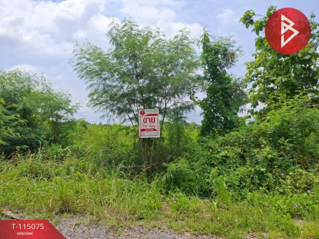 ขายที่ดิน เนื้อที่ 1 งาน บางน้ำเปรี้ยว ฉะเชิงเทรา