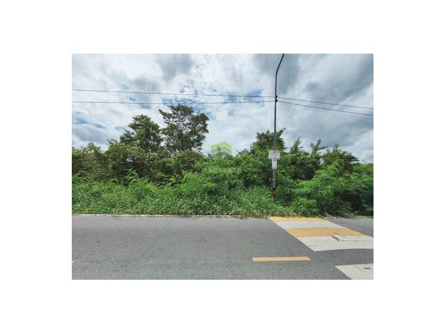 ขายที่ดินคลอง 9 ธัญบุรี ปทุมธานี เนื้อที่ 3 -2-16 ไร่ ทำเลดี เหมาะปลูกบ้านพักอาศัย ที่ดินจัดสรร