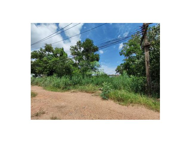 ขายที่ดินเปล่า 202 ตารางวา ซอยรังสิต-นครนายก27 ธัญบุรี ปทุมธานี ทำเลดี ใกล้ฟิวเจอร์พาร์ค รังสิต