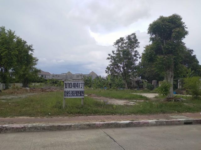 ขายที่ดินเปล่า414.1ตรว.ในหมู่บ้านอารีน่าการ์เด้น ซอยวัดบางพลีใหญ่ ถนนบางนาตราด กม.13 ขาเข้ากรุงเทพ