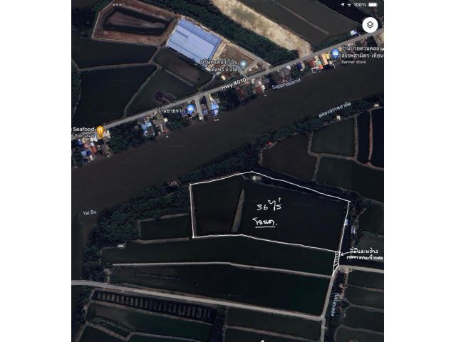 ขายที่ดิน บ่อกุ้ง โฉนด 36 ไร่ พื้นที่สีเหลือง