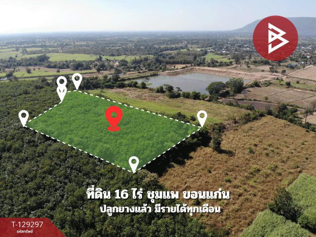ขายที่ดิน เนื้อที่ 16 ไร่ สวนยางพารา อ.ชุมแพ ขอนแก่น ใกล้ถนนหลัก