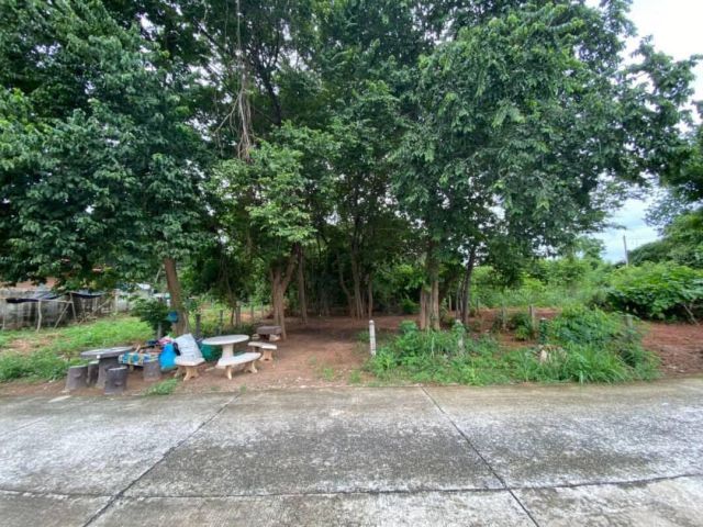 L1223 ขายที่ดินใกล้เขตอุตสาหกรรมสุรนารี 60 ตรว เมืองนครราชสีมา