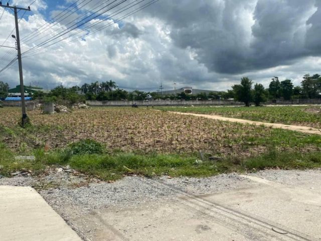 L1228 ขาบที่ดินสวยทำเลดี 19 ไร่ หน้ากว้าง 150 เมตร บ้านบึง ชลบุรี