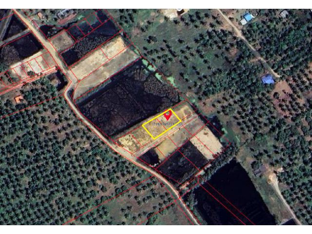 ขายและให้เช่าที่ดิน ตำบลสามร้อยยอด อำเภอสามร้อยยอด ประจวบคีรีขันธ์