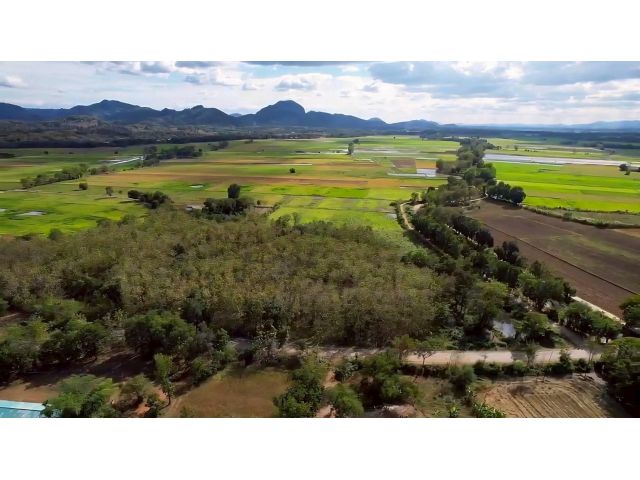 ขายสวนป่าลดราคา  | ติดทางสาธารณะ4ด้าน | ในชุมชนหมู่บ้าน |เขตเมืองเพชรบูรณ์ ขายยกแปลง 4,200,000 บาท | โฉนด 18-2-66 ไร่