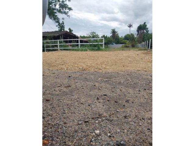 L1232 ขายที่ดินติดถนน.3291 ถมแล้ว 100 ตรว โพธาราม ราชบุรี