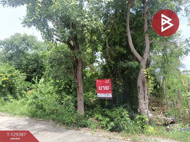 ขายที่ดิน เนื้อที่ 1 ไร่ 1 งาน 66 ตร.วา บางใหญ่ นนทบุรี