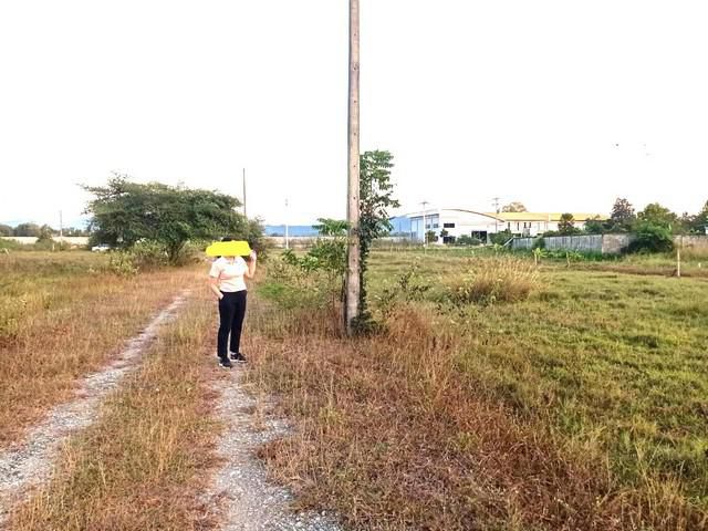 ขายที่ดิน189ว.700,000บ. ถ.หมู่บ้านครู-บ้านธิ มะเขือแจ้ เมืองลำพูน