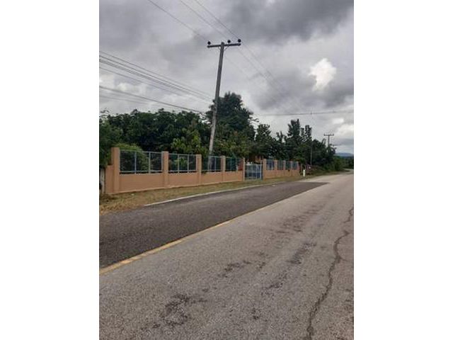 ขายที่ดิน 3-2-11ไร่ 1.8ล. สวนมะม่วง ลำไย อ.ดอยหล่อ เชียงใหม่