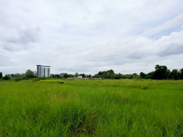 L1233 ขายที่ดินใกล้ถนนเลี่ยงเมืองราชบุรี 4 ไร่ เมืองราชบุรี