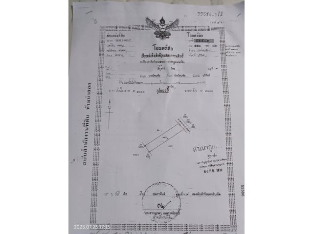 #นำคนมาซื้อรับ3% #ลดสุดๆ #ที่ดินเปล่า6ไร่ #ขายเพียงไร่ละ1.5 แสน #มีเพื่อนบ้าน #บ้านตะแบก #โคกย่าง #ประโคนชัย #โทร0945618229 #ราค