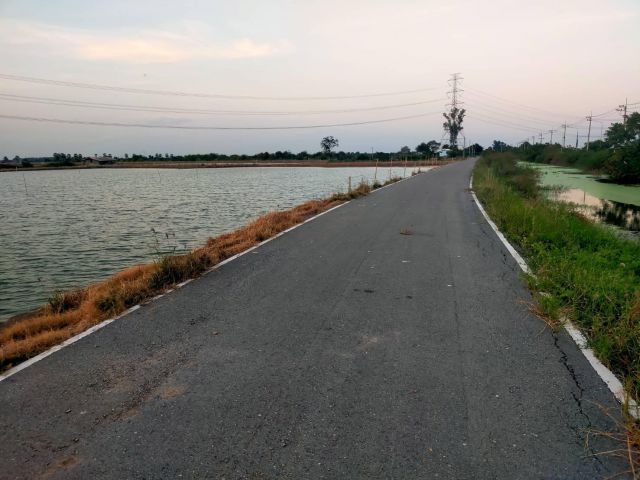 ขายบ่อเลี้ยงกุ้ง242-ไร่ไร่ละ380000-ติดถนนลาดยาง+คลอง ต.ไผ่หูช้าง อ.บางเลน จ.นครปฐม.เหมาะทำฟาร์มกุ้งปลาไก่/บ่อดิน/สวนมะพร้าว