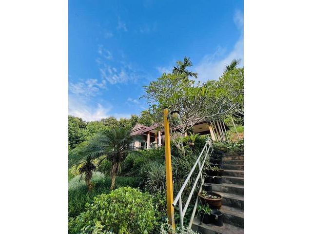 ให้เช่าบ้านรีสอร์ท 1-2-28ไร่ 5น4น 40,000บ. อ.สะเมิง เชียงใหม่