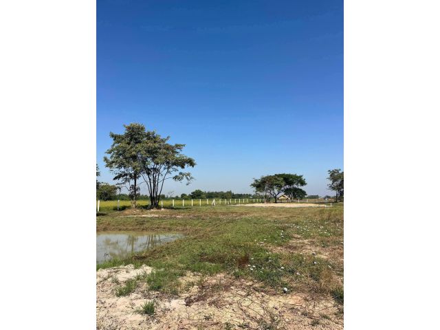 แบ่งขายที่ดิน ต.บ้านสระ อ.สามชุก จ.สุพรรณ