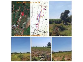 (โฉนด) ที่ดินแบ่ง 5-10 ไร่ๆละ 190,000 บ. (เหมาะทำไร่นา สวนผสม) ทางถนนหินคลุก ไฟฟ้า น้ำประปา ต.ทะเลบก อ.ดอนเจดีย์ จ.สุพรรณบุรี