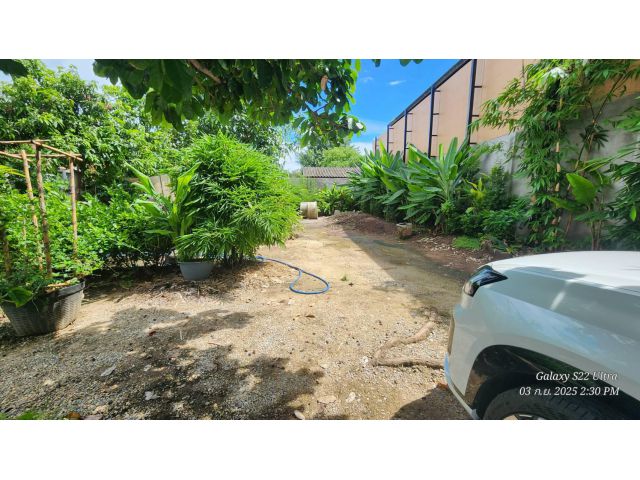 ขายที่ดิน 100 ตรว. หลังศูนย์วัฒนธรรมเชียงใหม่