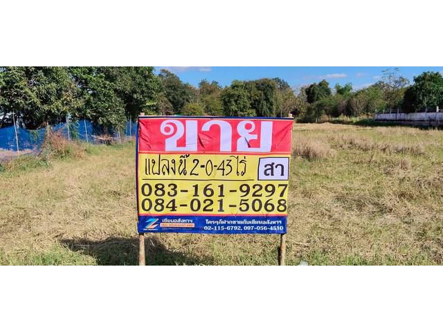 ขายที่ดินราคาถูก ทำเลดี 2-0-43 ไร่ หนองไผ่ ชุมแพ ขอนแก่น