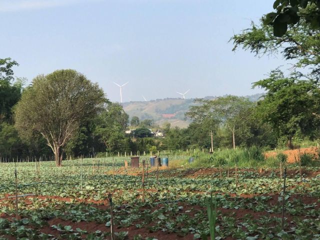 ที่ดินเขาค้อ แปลงเล็ก วิวทุ่งกังหัน สวยมาก