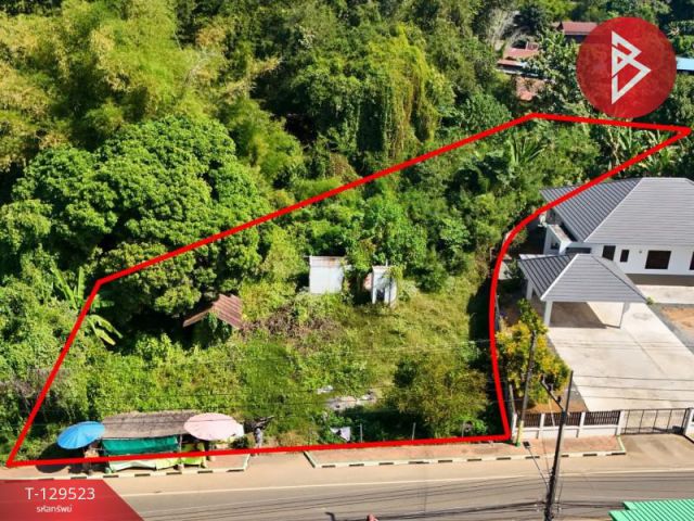 ขายที่ดิน เนื้อที่ 1 ไร่ 1 งาน 45 ตารางวา ลับแล อุตรดิตถ์ ทำเลดี ติดถนนสายหลัก