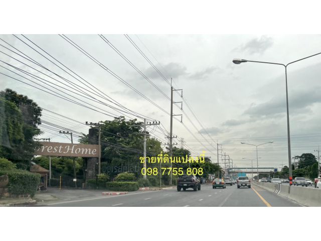 ขายที่ดินติดถนนรังสิต นครนายก 098 7755 808