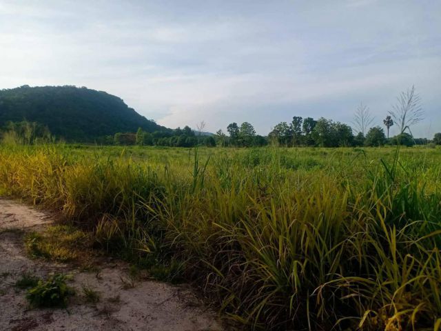 L1234 ขายที่ดินใกล้นิคมฯเกตเวย์ 9 ไร่ แปลงยาว ฉะเชิงเทรา