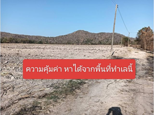 แปลงสวยๆช่วยชี้ช่องทาง สวยดีวันดีคืนสวทึ่งอึ้งในทำเล ที่ดิน5ไร่โฉนด ไม่ไกลแล้วก็แพงสวยเป็นที่ๆดีเป็นแปลงๆ