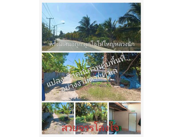 แปลงเล็กมีคุณค่ามหาศาล เสนอเป็นครั้งแรกอาจเป็นครั้งสุดท้าย อาจจบภายในเร็ววัน เป็นทำเลที่อยู่อาศัยแสนเหมาะสมสังคมเป็นสุข